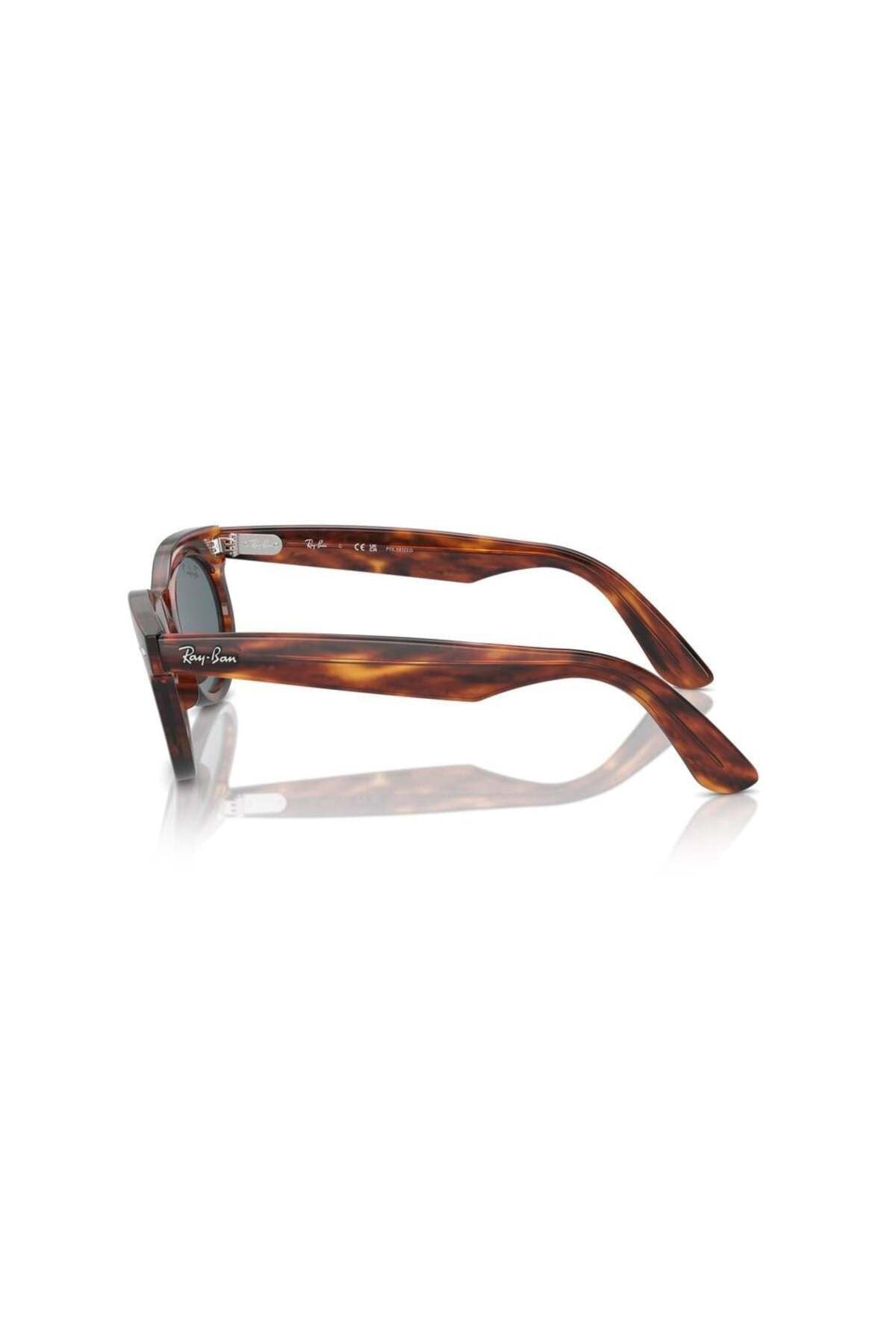 2242 954/3r 50-22 Unisex Güneş Gözlüğü