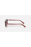 Rayban 0rb4455 68098052 Unısex Gözlük