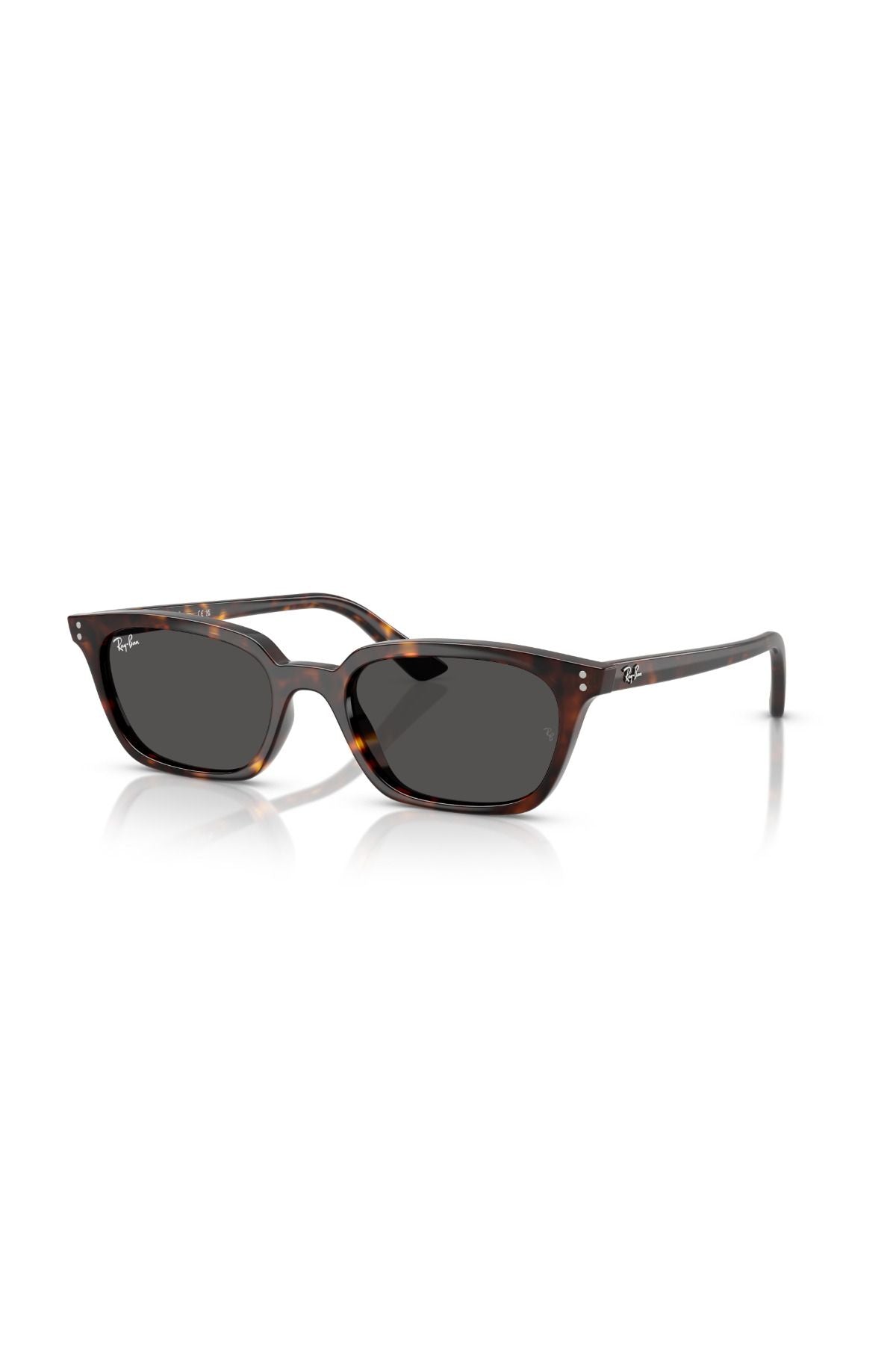 Rb4456 135987 50 Unisex Güneş Gözlüğü