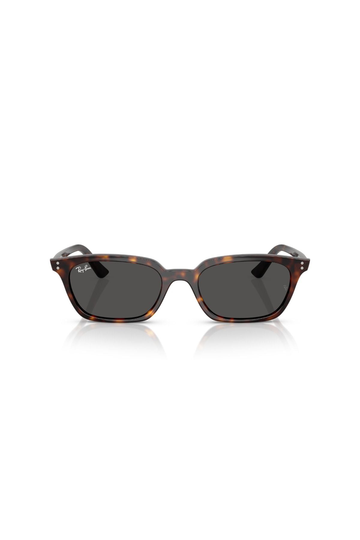 Rb4456 135987 50 Unisex Güneş Gözlüğü